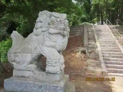 亀賀森神社の狛犬