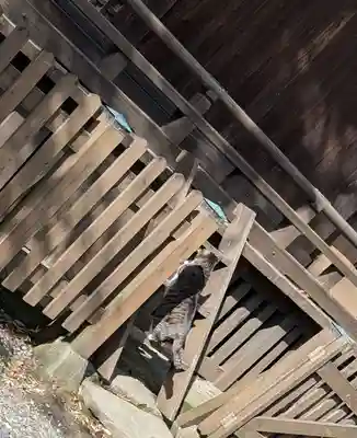 阿邪訶根神社(福島県)