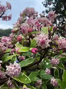 石内のお大師さん 金剛院(広島県)(2023年03月18日(土) 08時21分29秒投稿)