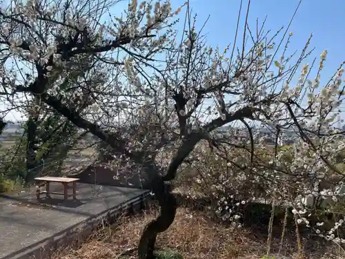 當選寺(埼玉県)