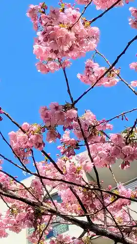 蔵前神社の景色