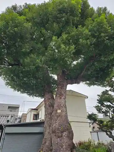 観音寺(東京都)