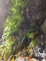 九頭龍権現水神社(東京都)