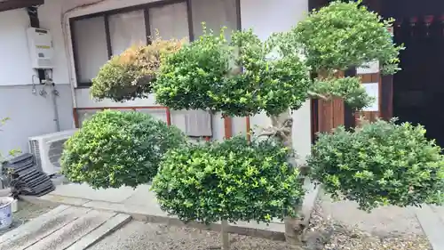 法雲寺(京都府)