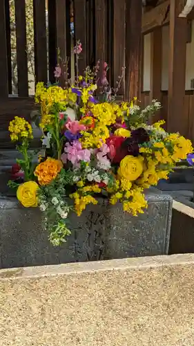 勝林寺(京都府)