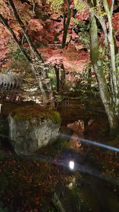 宝厳院(京都府)