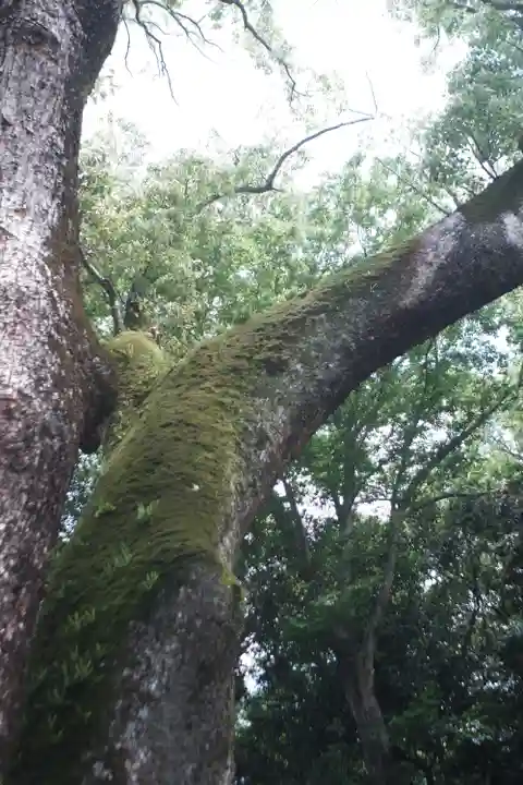 伊弉諾神宮(兵庫県)