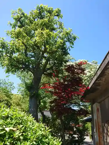 尾張大國霊神社（国府宮）の自然