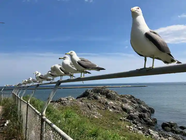 蕪嶋神社(青森県)