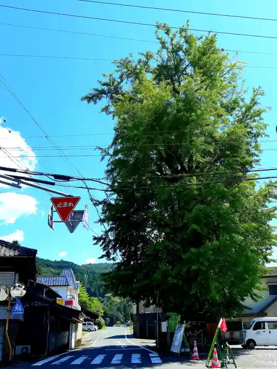 六所神社の自然