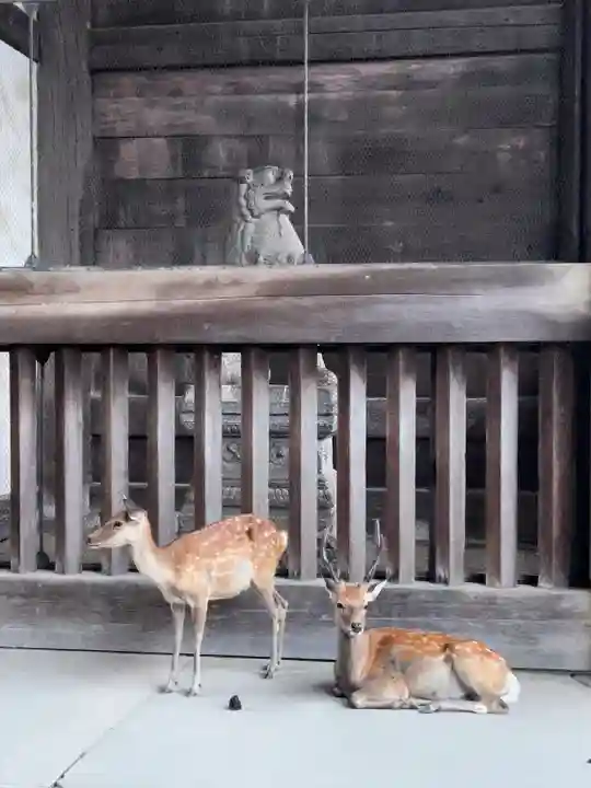 東大寺 二月堂(奈良県)