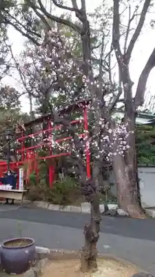 居木神社(東京都)