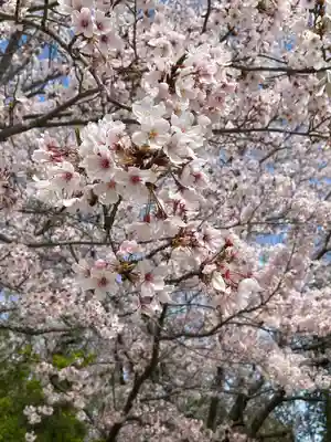 伊和都比売神社の自然