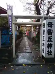 母智丘神社の鳥居