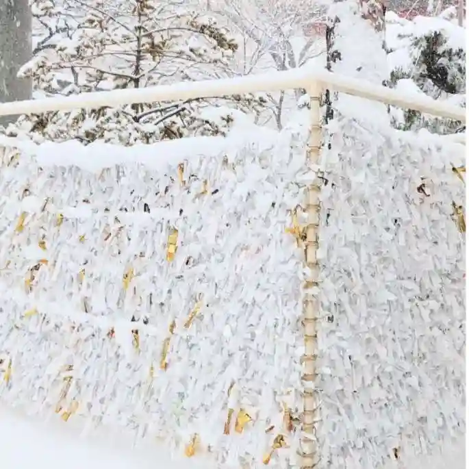 彌彦神社 (伊夜日子神社)のおみくじ