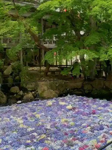 楽法寺（雨引観音）の{uncategorized: "未分類", other: "その他", undefined: "問題あり", building: "その他建物", grave: "お墓", sacred_gate: "鳥居", guardian: "狛犬", statue: "像", buddha: "仏像", history: "歴史", nature: "自然", garden: "庭園", animal: "動物", pagoda: "塔", temizu: "手水舎", mountain_gate: "山門・神門", sanctuary: "本殿・本堂", subordinate: "末社・摂社", art: "芸術", scenery: "景色", jizo: "地蔵", ema: "絵馬", goshuin: "御朱印", omikuji: "おみくじ", items: "授与品その他", amulet: "お守り", goshuincho: "御朱印帳", eats: "食事", festival: "お祭り", votive_dance: "神楽", shichigosan: "七五三参", wedding: "結婚式", experience: "体験その他", initially: "初詣", around: "周辺", anti_infection: "感染症対策"}