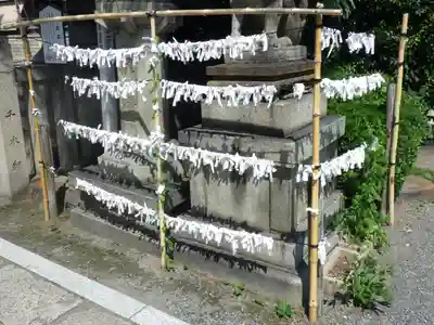 元祇園梛神社・隼神社のおみくじ
