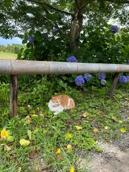 白鬚神社(宮崎県)