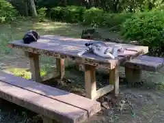 玉野御嶽神社の動物