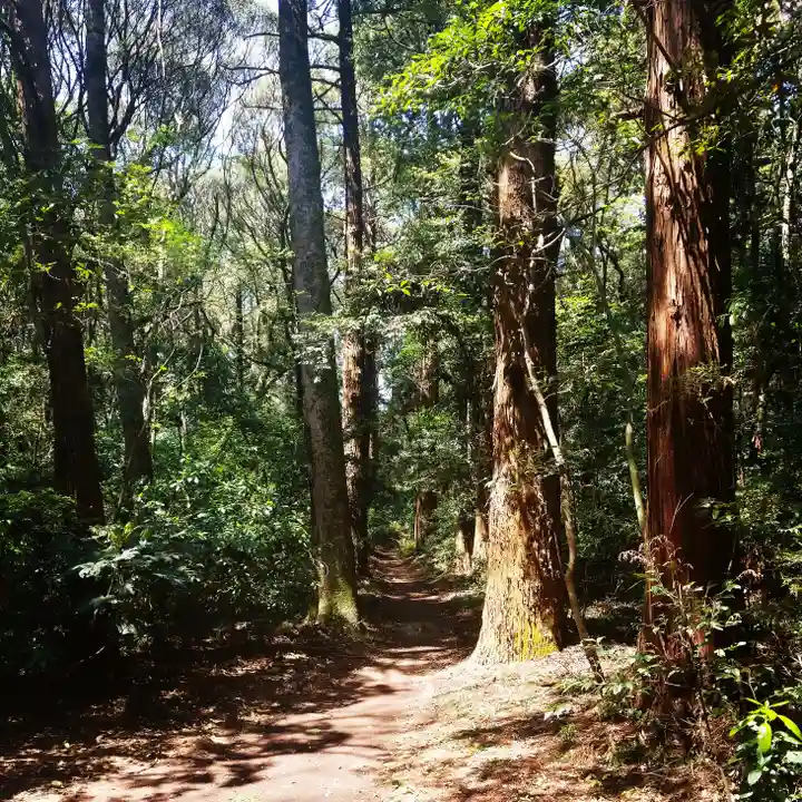 鹿島神宮の自然