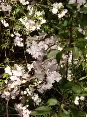 福徳神社（芽吹稲荷）の自然