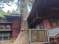 北口本宮冨士浅間神社(山梨県)