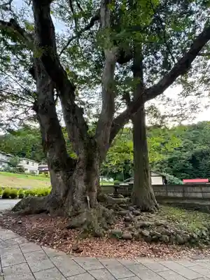 諏訪大社上社前宮(長野県)