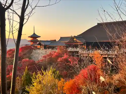 清水寺の建物その他