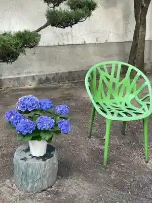 大聖観音寺（あびこ観音）(大阪府)