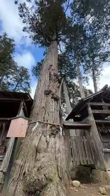 豊受大神社(京都府)