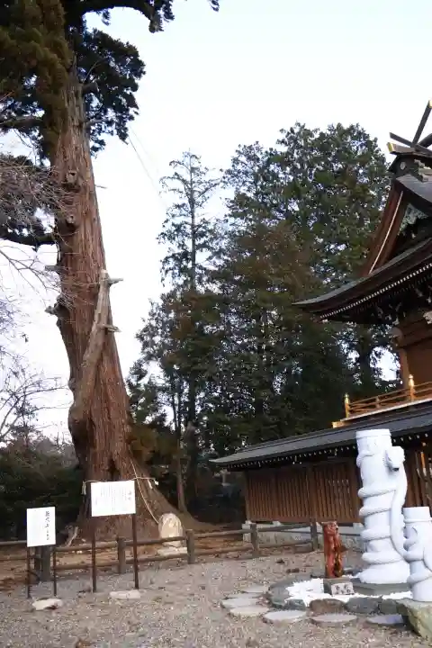 八幡宮の{uncategorized: "未分類", other: "その他", undefined: "問題あり", building: "その他建物", grave: "お墓", sacred_gate: "鳥居", guardian: "狛犬", statue: "像", buddha: "仏像", history: "歴史", nature: "自然", garden: "庭園", animal: "動物", pagoda: "塔", temizu: "手水舎", mountain_gate: "山門・神門", sanctuary: "本殿・本堂", subordinate: "末社・摂社", art: "芸術", scenery: "景色", jizo: "地蔵", ema: "絵馬", goshuin: "御朱印", omikuji: "おみくじ", items: "授与品その他", amulet: "お守り", goshuincho: "御朱印帳", eats: "食事", festival: "お祭り", votive_dance: "神楽", shichigosan: "七五三参", wedding: "結婚式", experience: "体験その他", initially: "初詣", around: "周辺", anti_infection: "感染症対策"}