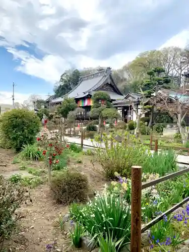 埼玉厄除け開運大師・龍泉寺（切り絵御朱印発祥の寺）の庭園