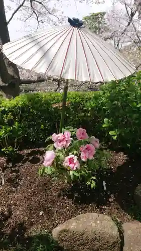 鶴岡八幡宮の{uncategorized: "未分類", other: "その他", undefined: "問題あり", building: "その他建物", grave: "お墓", sacred_gate: "鳥居", guardian: "狛犬", statue: "像", buddha: "仏像", history: "歴史", nature: "自然", garden: "庭園", animal: "動物", pagoda: "塔", temizu: "手水舎", mountain_gate: "山門・神門", sanctuary: "本殿・本堂", subordinate: "末社・摂社", art: "芸術", scenery: "景色", jizo: "地蔵", ema: "絵馬", goshuin: "御朱印", omikuji: "おみくじ", items: "授与品その他", amulet: "お守り", goshuincho: "御朱印帳", eats: "食事", festival: "お祭り", votive_dance: "神楽", shichigosan: "七五三参", wedding: "結婚式", experience: "体験その他", initially: "初詣", around: "周辺", anti_infection: "感染症対策"}