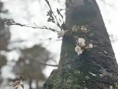 眞田神社(長野県)