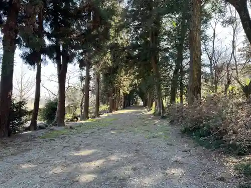 千代ケ岡八幡宮(栃木県)