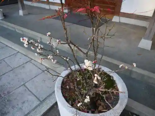 平塚神社のその他建物