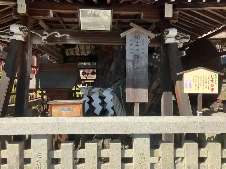 松尾大社(京都府)