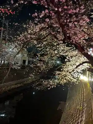 弘明寺の{uncategorized: "未分類", other: "その他", undefined: "問題あり", building: "その他建物", grave: "お墓", sacred_gate: "鳥居", guardian: "狛犬", statue: "像", buddha: "仏像", history: "歴史", nature: "自然", garden: "庭園", animal: "動物", pagoda: "塔", temizu: "手水舎", mountain_gate: "山門・神門", sanctuary: "本殿・本堂", subordinate: "末社・摂社", art: "芸術", scenery: "景色", jizo: "地蔵", ema: "絵馬", goshuin: "御朱印", omikuji: "おみくじ", items: "授与品その他", amulet: "お守り", goshuincho: "御朱印帳", eats: "食事", festival: "お祭り", votive_dance: "神楽", shichigosan: "七五三参", wedding: "結婚式", experience: "体験その他", initially: "初詣", around: "周辺", anti_infection: "感染症対策"}