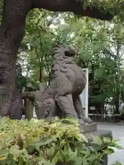 稲毛神社の狛犬