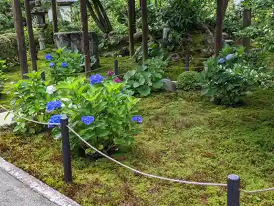 一條殿 新善光寺(京都府)