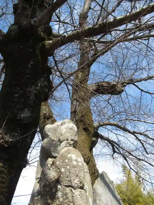 真光寺(千葉県)