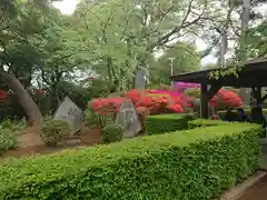 喜多院の庭園