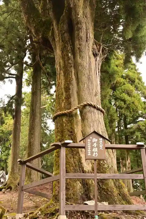 身延山奥之院思親閣(山梨県)