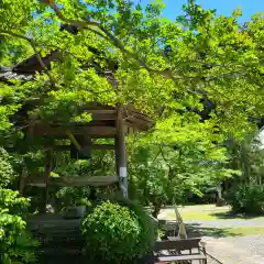 大洞院の建物その他