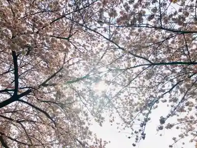 佉羅陀山地蔵院薬王寺の自然