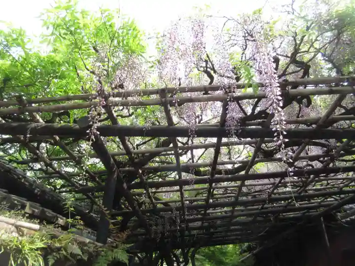長岡天満宮の庭園