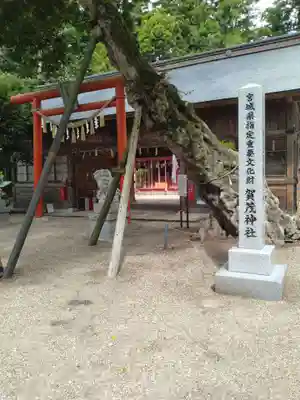 賀茂神社(宮城県)