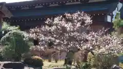 関西出雲久多美神社（海津市）(岐阜県)