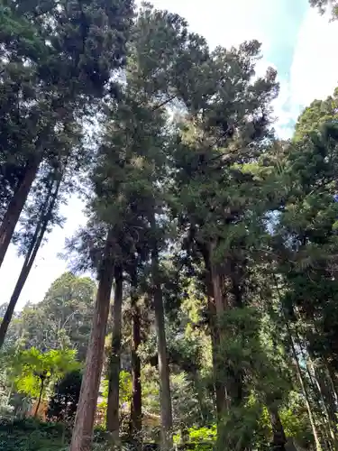 大宮温泉神社(栃木県)