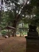 天之宮大神(千葉県)